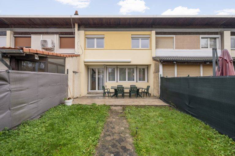 vandoeuvre_petunias_09